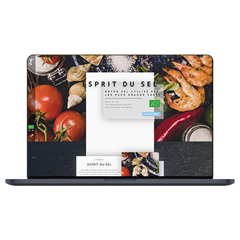 esprit-du-sel-e-commerce