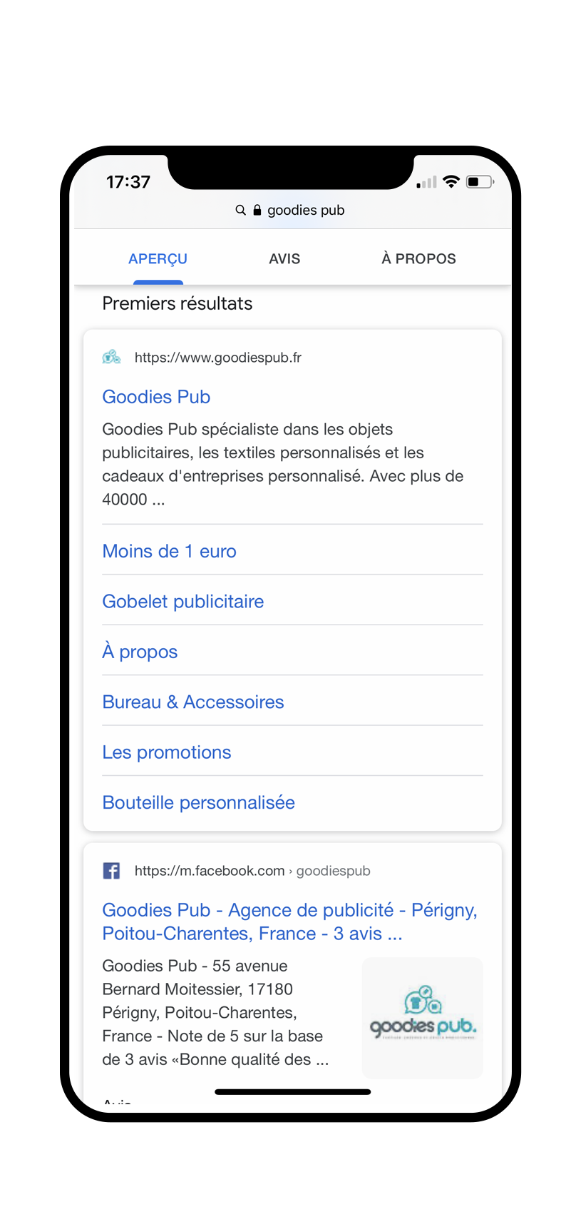 goodies-pub-referencement1