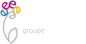 Logo E-nitiatives