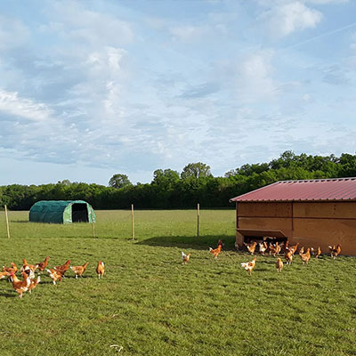 Site web Ferme Dau Chin Gaté