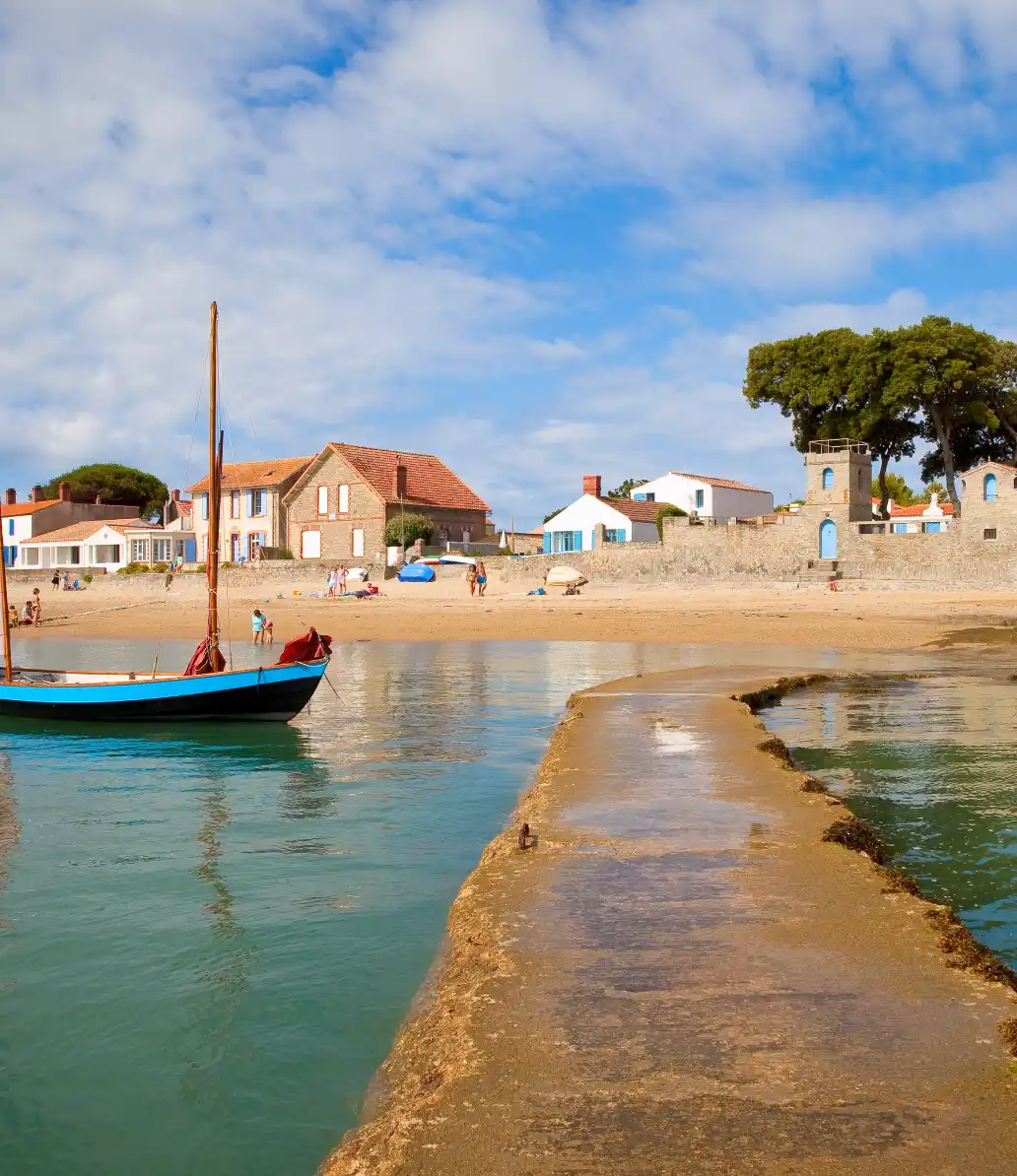 création de site web vendée